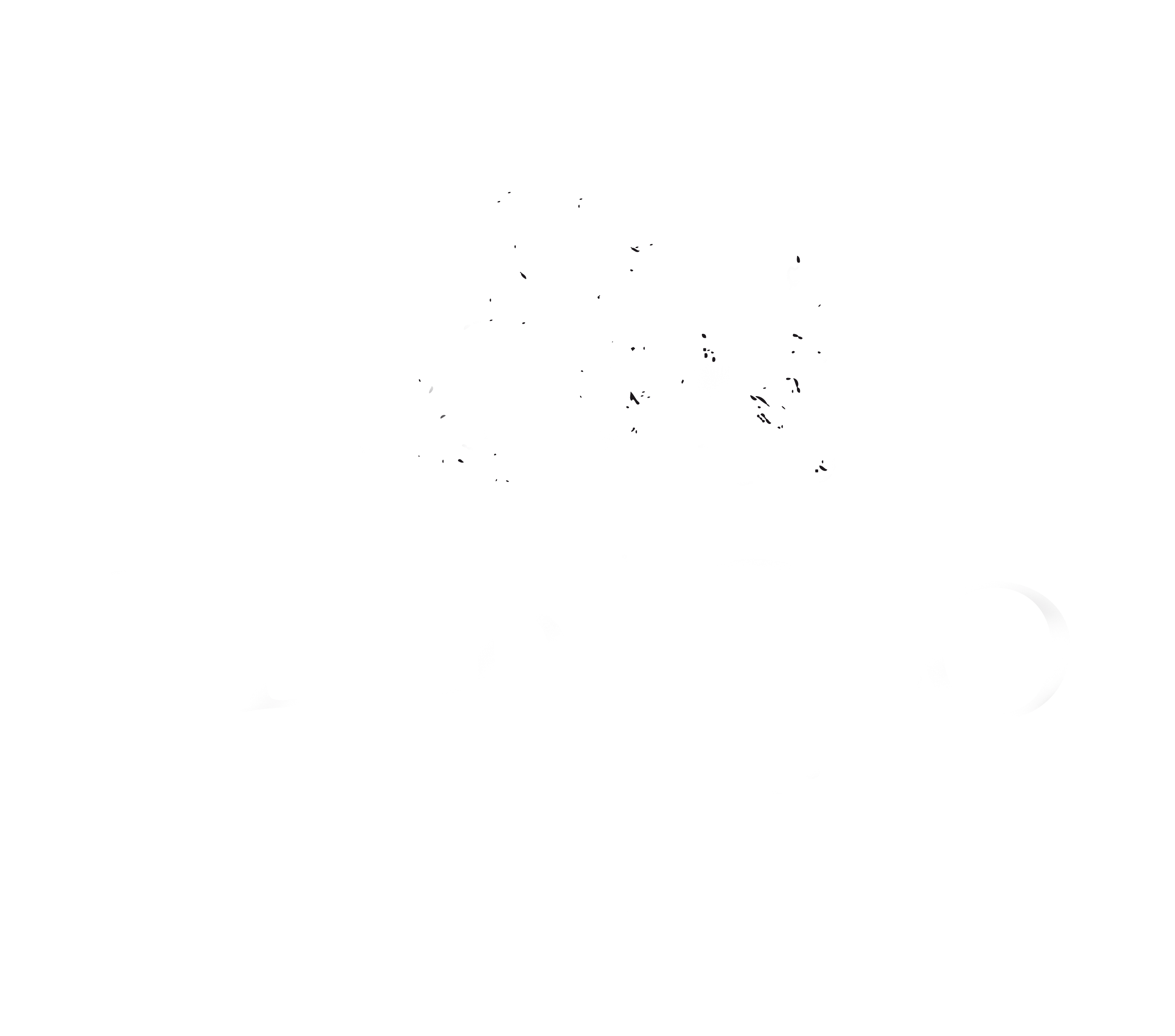 Osteria Perbacco Menu